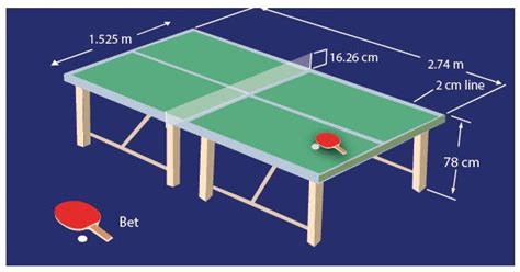 berapa tinggi net tenis meja